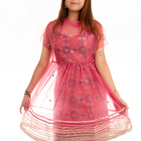 AADYA Pink Benarasi Dress